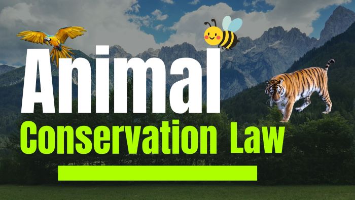Law