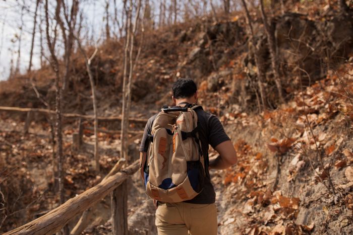 Three Difficulties You Might Experience Hunting During Your Travels